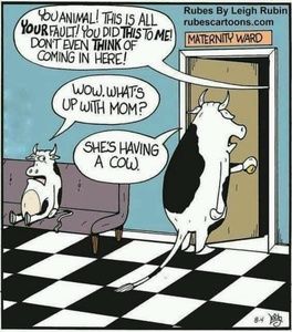 Meet your Posher, Mike